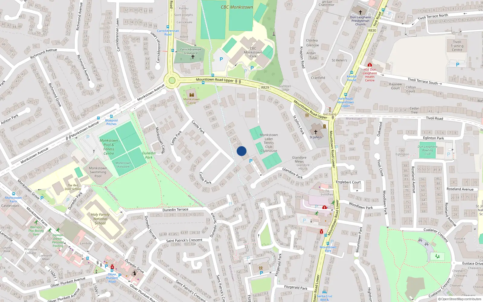 Overhead map showing the location of 32 Castle Park, Monkstown