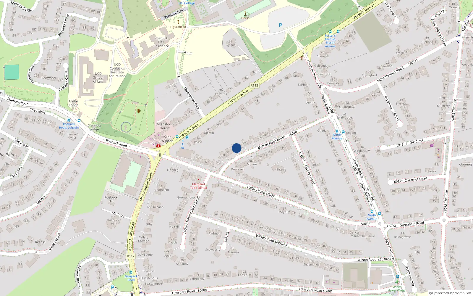 Overhead map showing the location of 32 Mather Road North, Blackrock