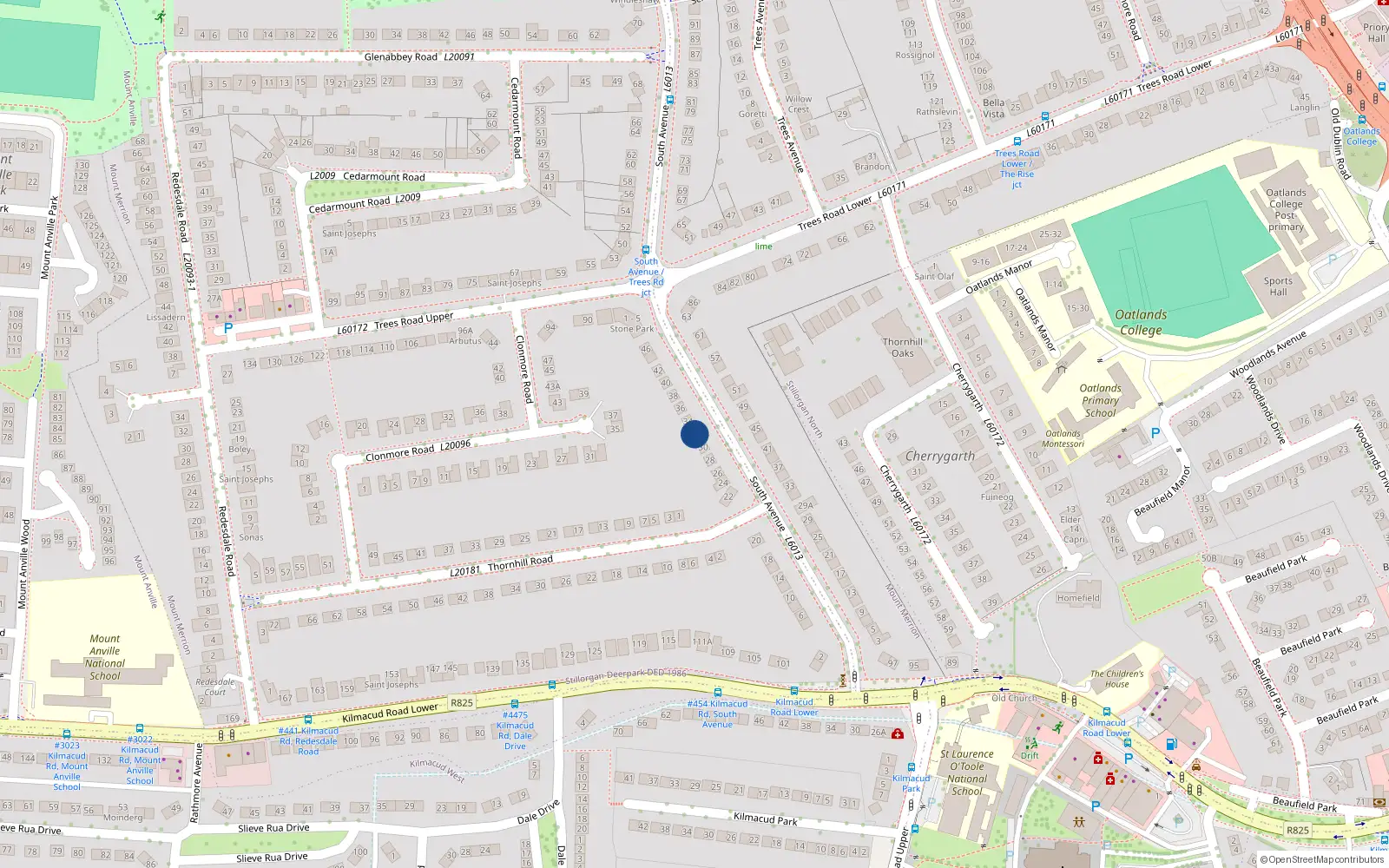 Overhead map showing the location of 32 South Avenue, Mount Merrion, Dublin