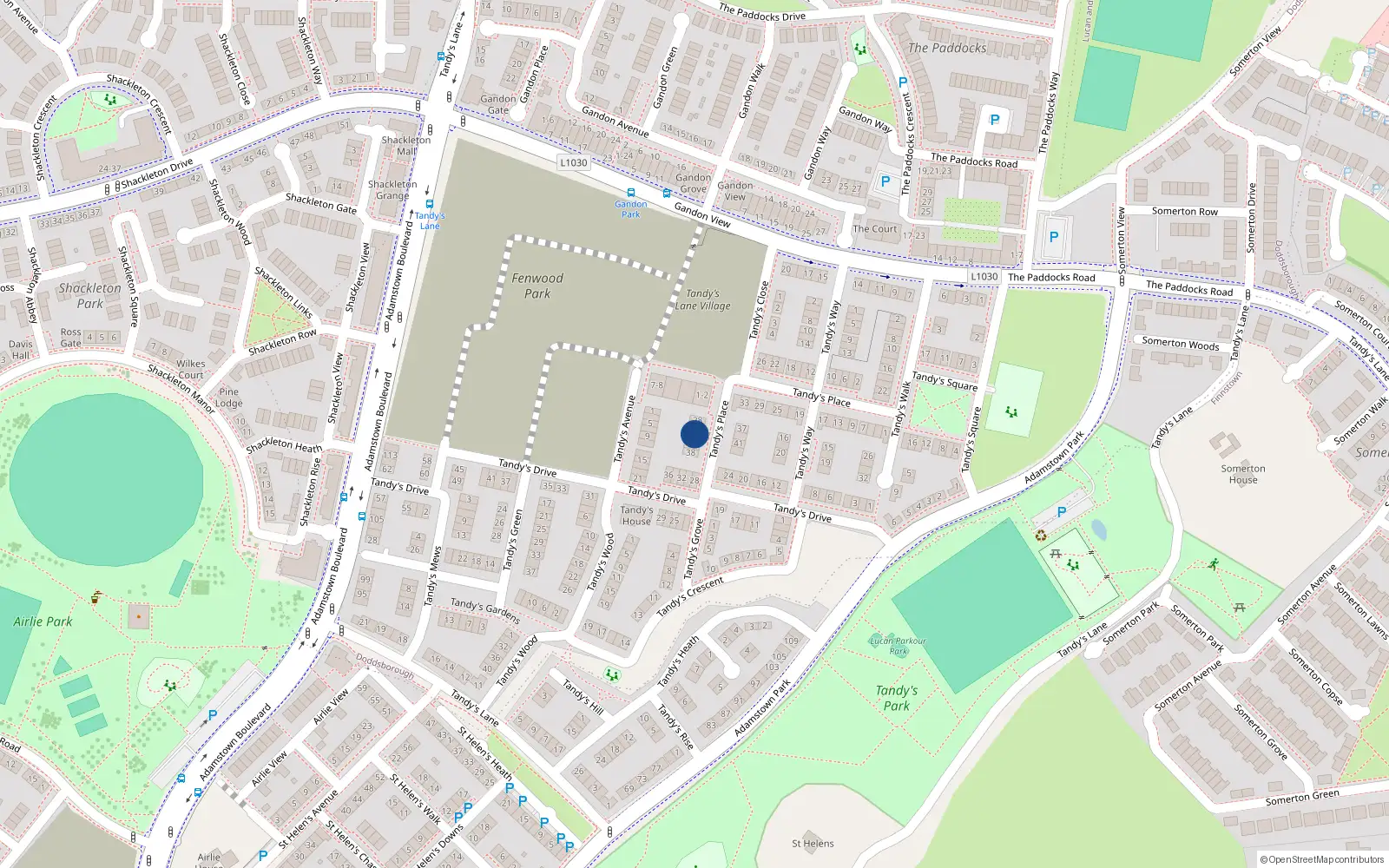 Overhead map showing the location of 32 Tandy's Place, Lucan