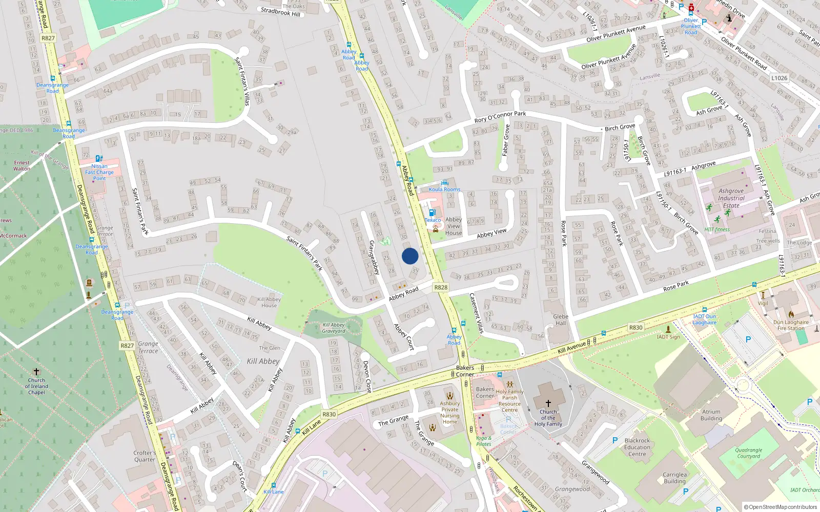 Overhead map showing the location of 33 Abbey Road, Blackrock, Dublin