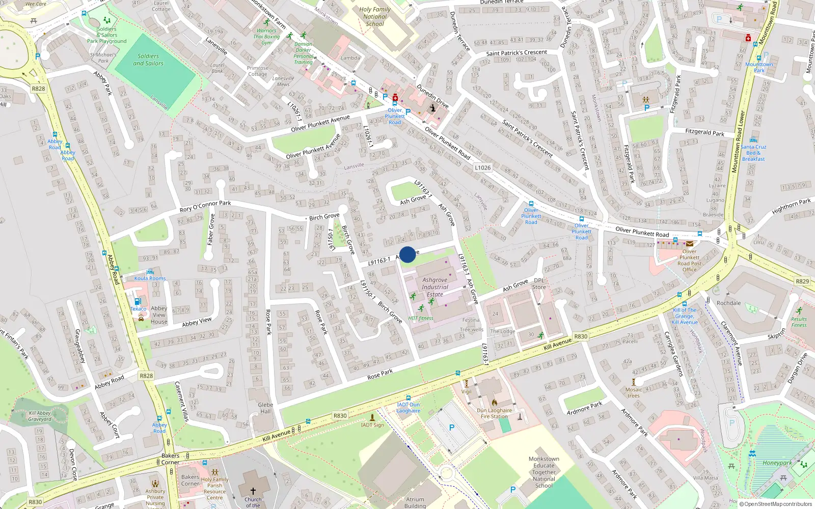 Overhead map showing the location of 33 Ashgrove, Kill of the Grange