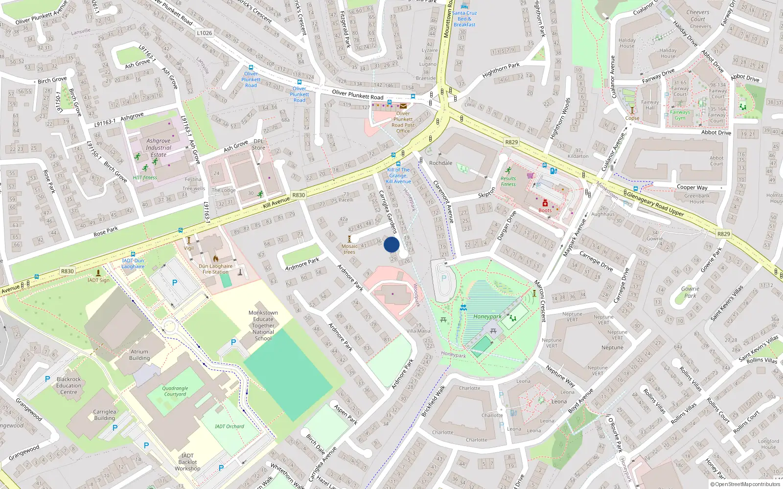 Overhead map showing the location of 33 Carriglea Gardens, Dublin