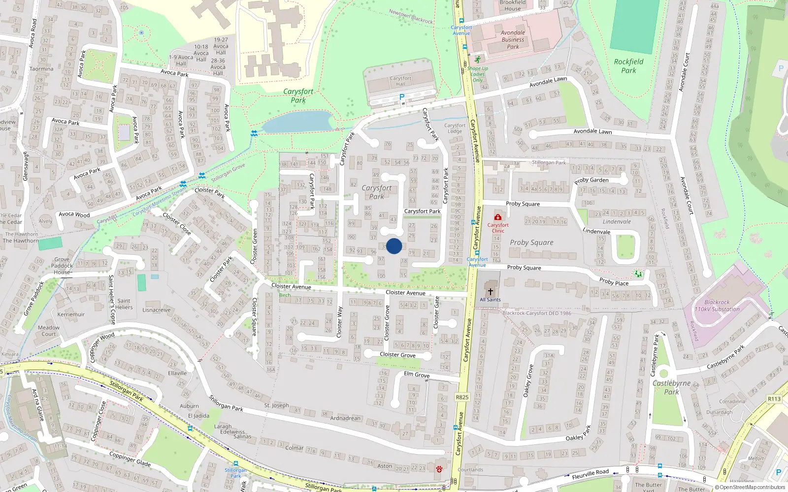 Overhead map showing the location of 33 Carysfort Park, Blackrock