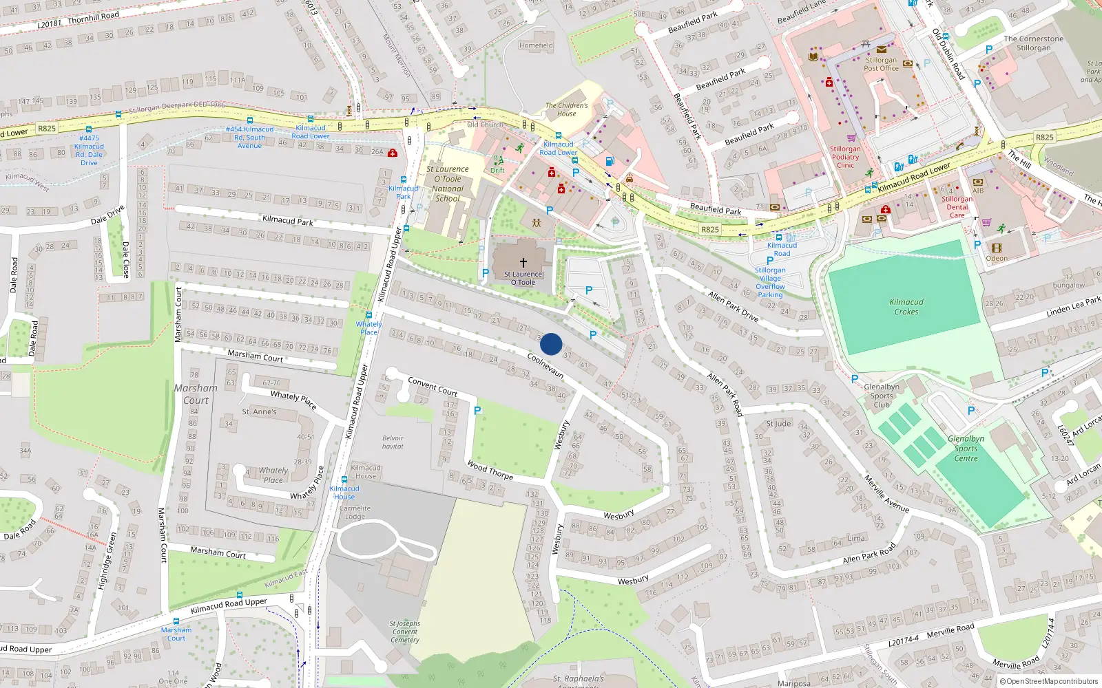 Overhead map showing the location of 33 Coolnevaun, Blackrock