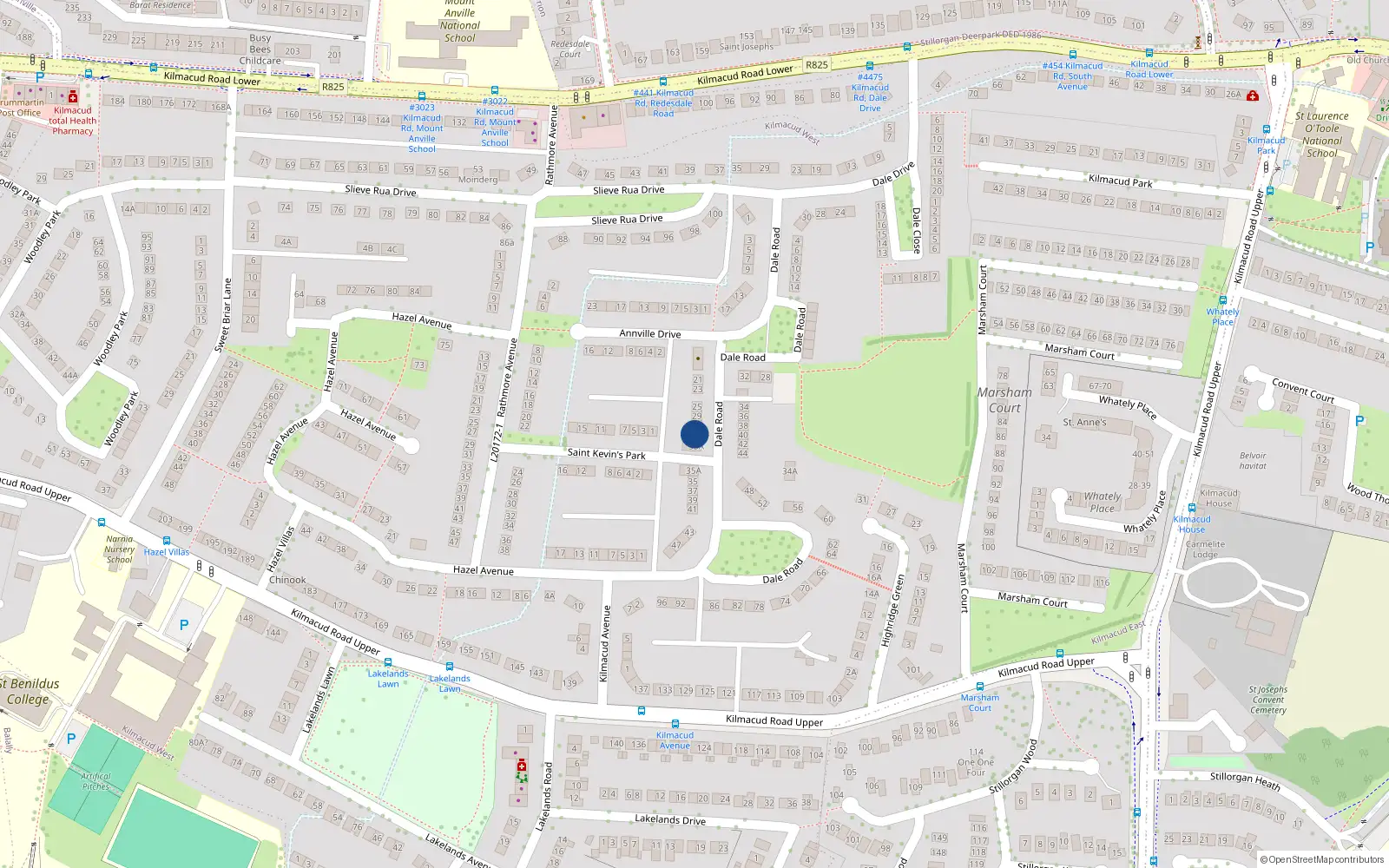 Overhead map showing the location of 33 Dale Road, Stillorgan