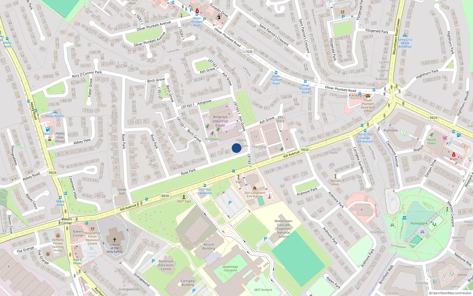 Overhead map showing the location of 33 Kill Avenue, Dublin