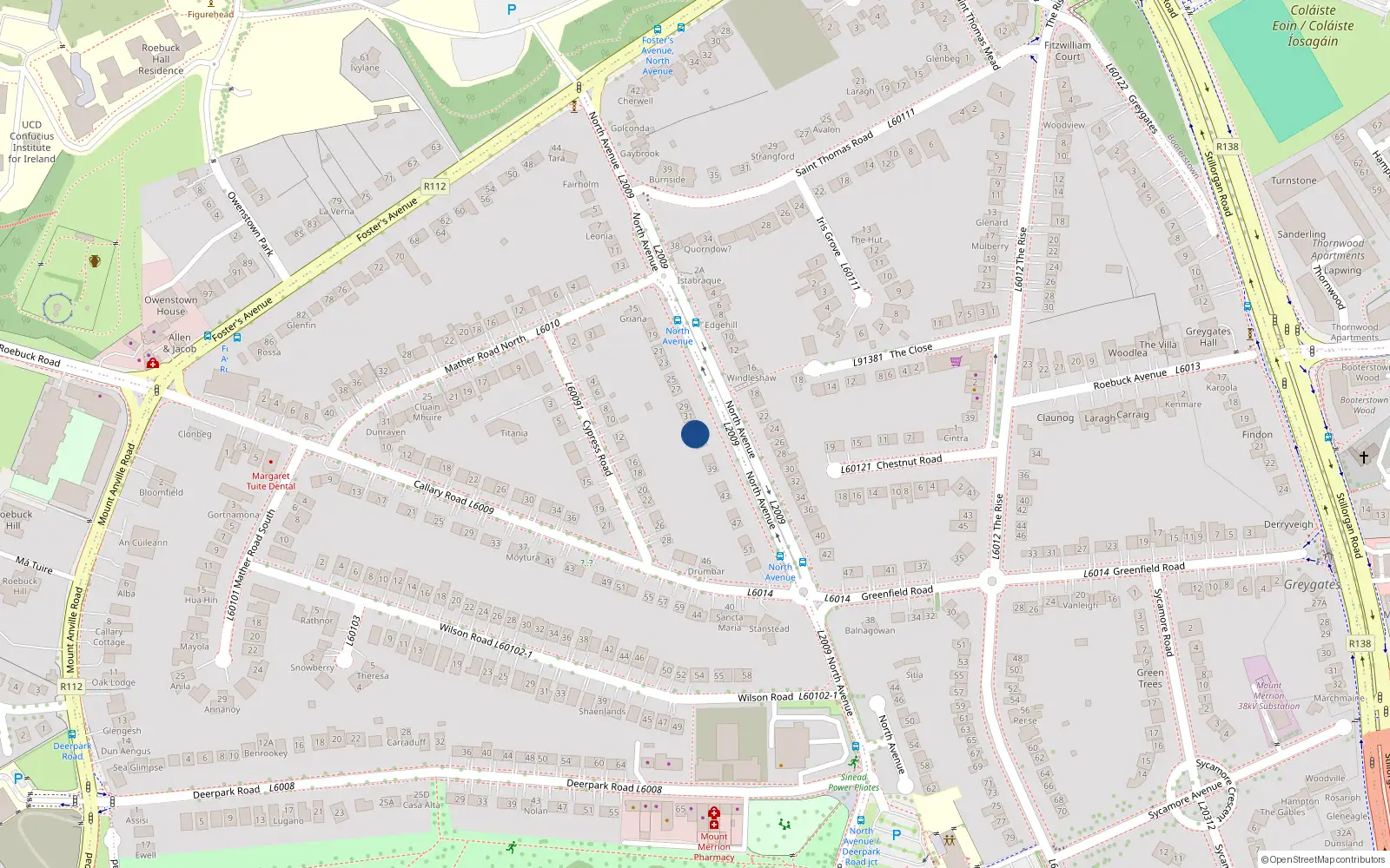 Overhead map showing the location of 33 North Avenue, Mount Merrion, Blackrock
