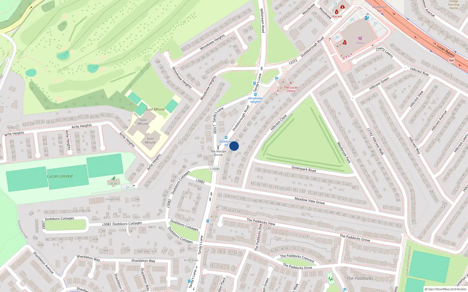 Overhead map showing the location of 33 Tandy's Lane, Lucan