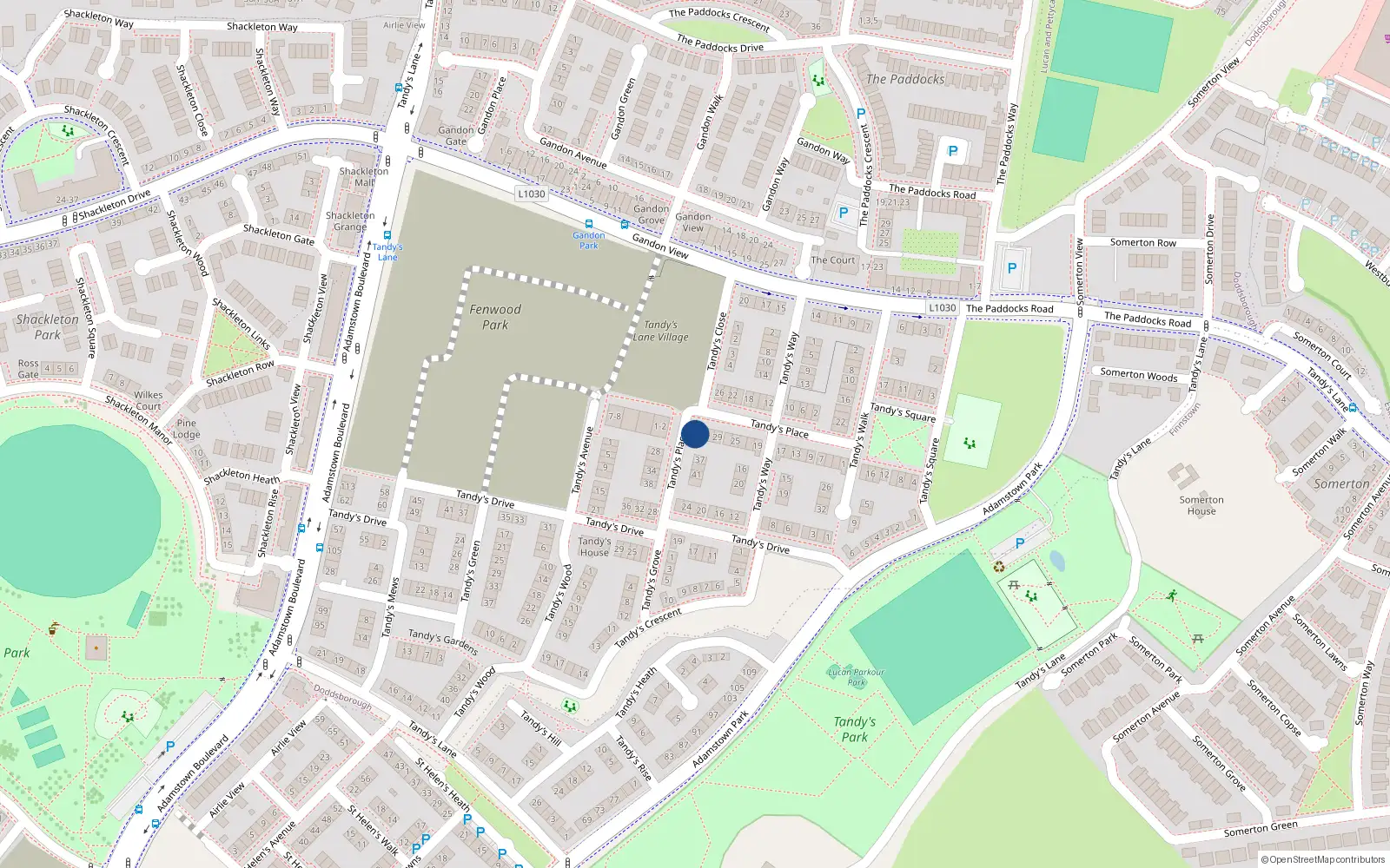 Overhead map showing the location of 33 Tandy's Place, Lucan