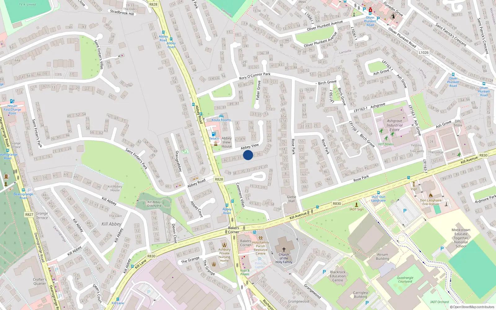 Overhead map showing the location of 34 Abbey View, Monkstown