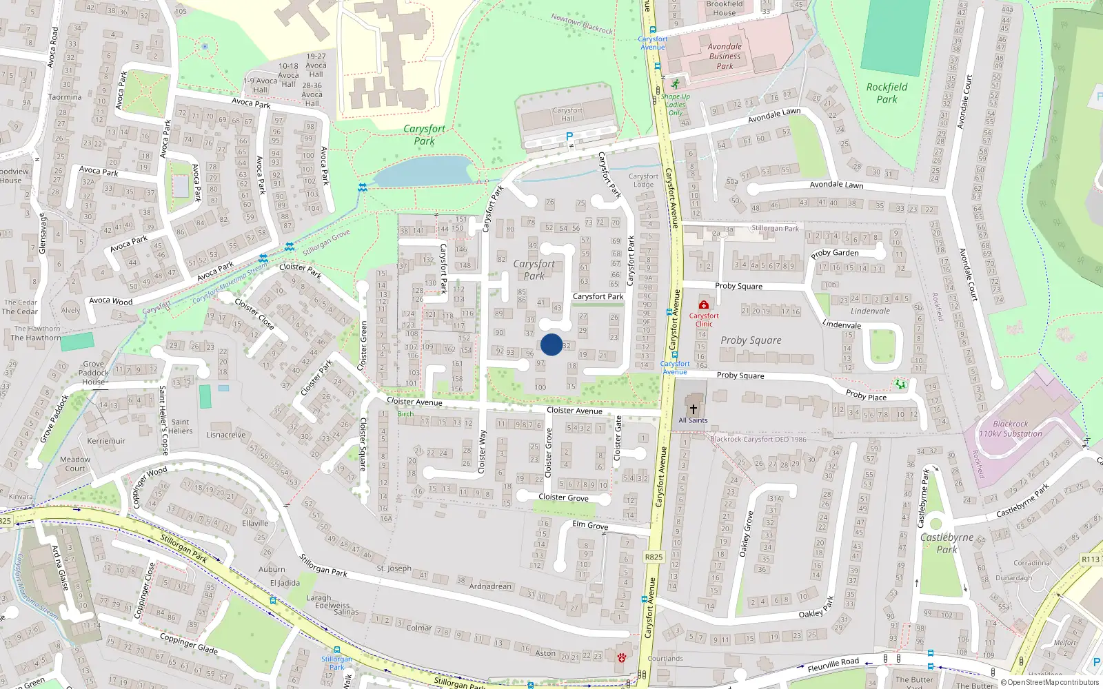 Overhead map showing the location of 34 Carysfort Park, Blackrock