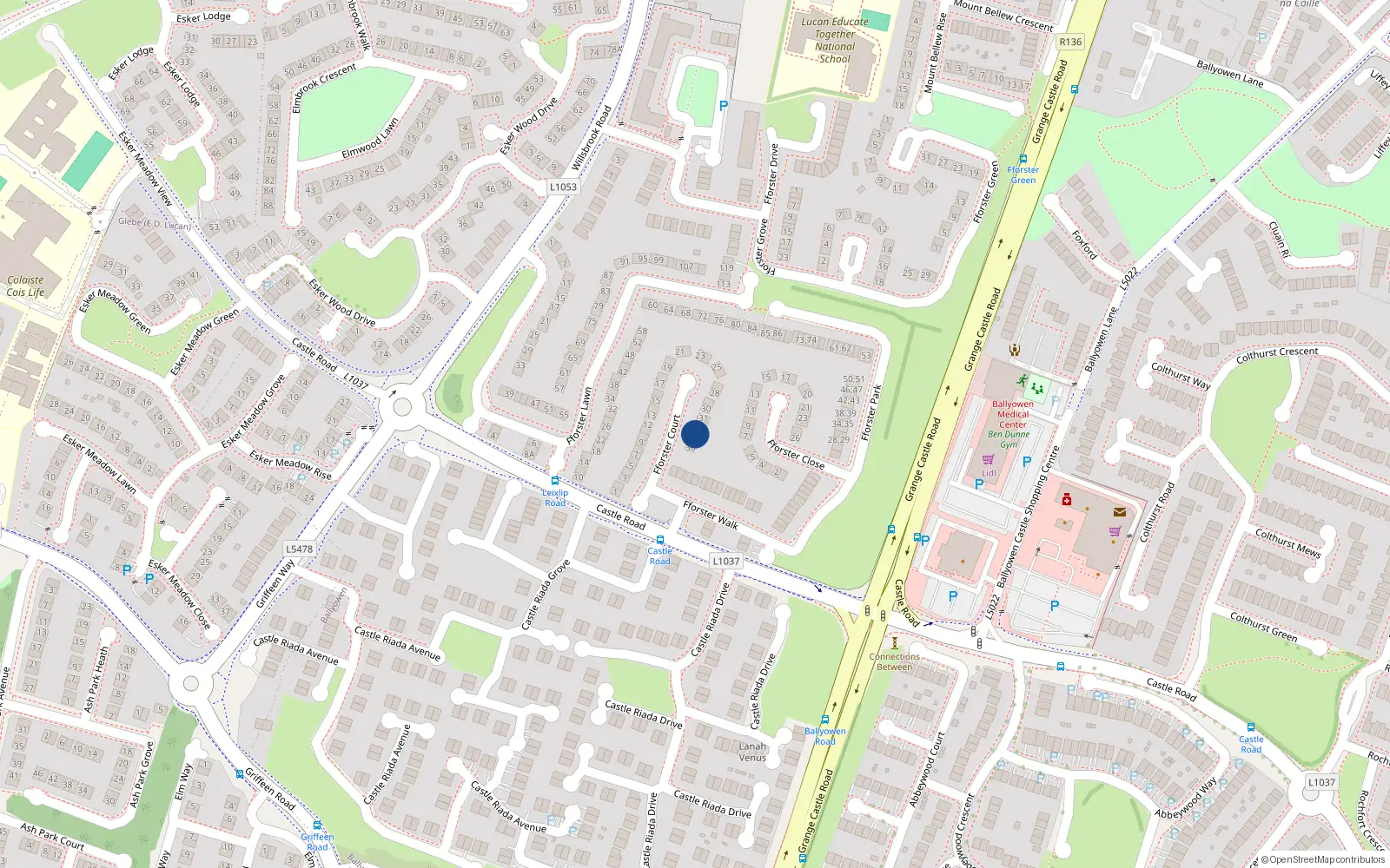 Overhead map showing the location of 34 Fforester Court, Ballydowd Manor, Lucan Dublin