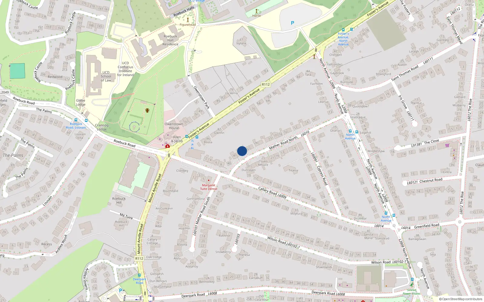 Overhead map showing the location of 34 Mather Road North, Blackrock