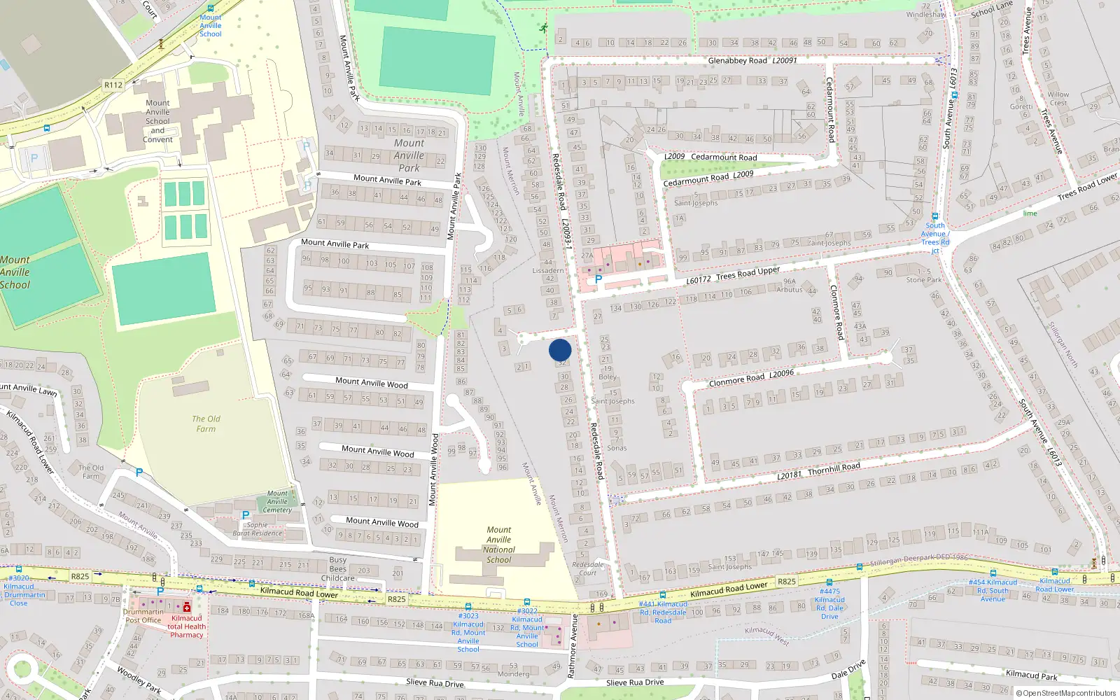 Overhead map showing the location of 34 Redesdale Road, Blackrock
