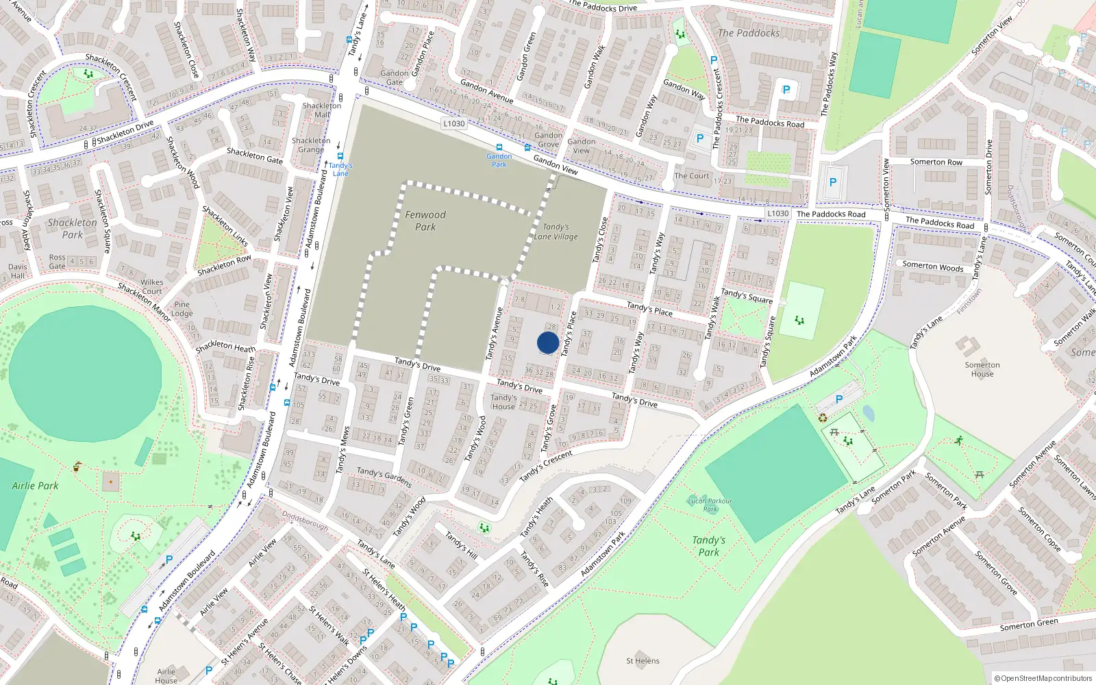 Overhead map showing the location of 34 Tandy's Place, Lucan