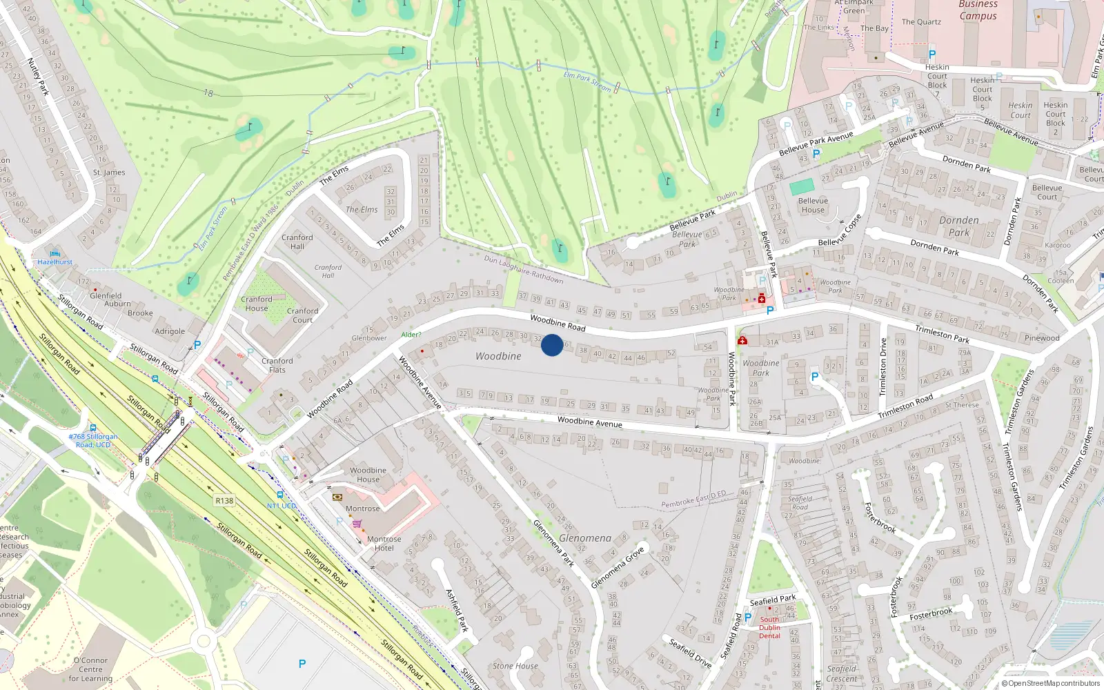Overhead map showing the location of 34 Woodbine Road, Blackrock