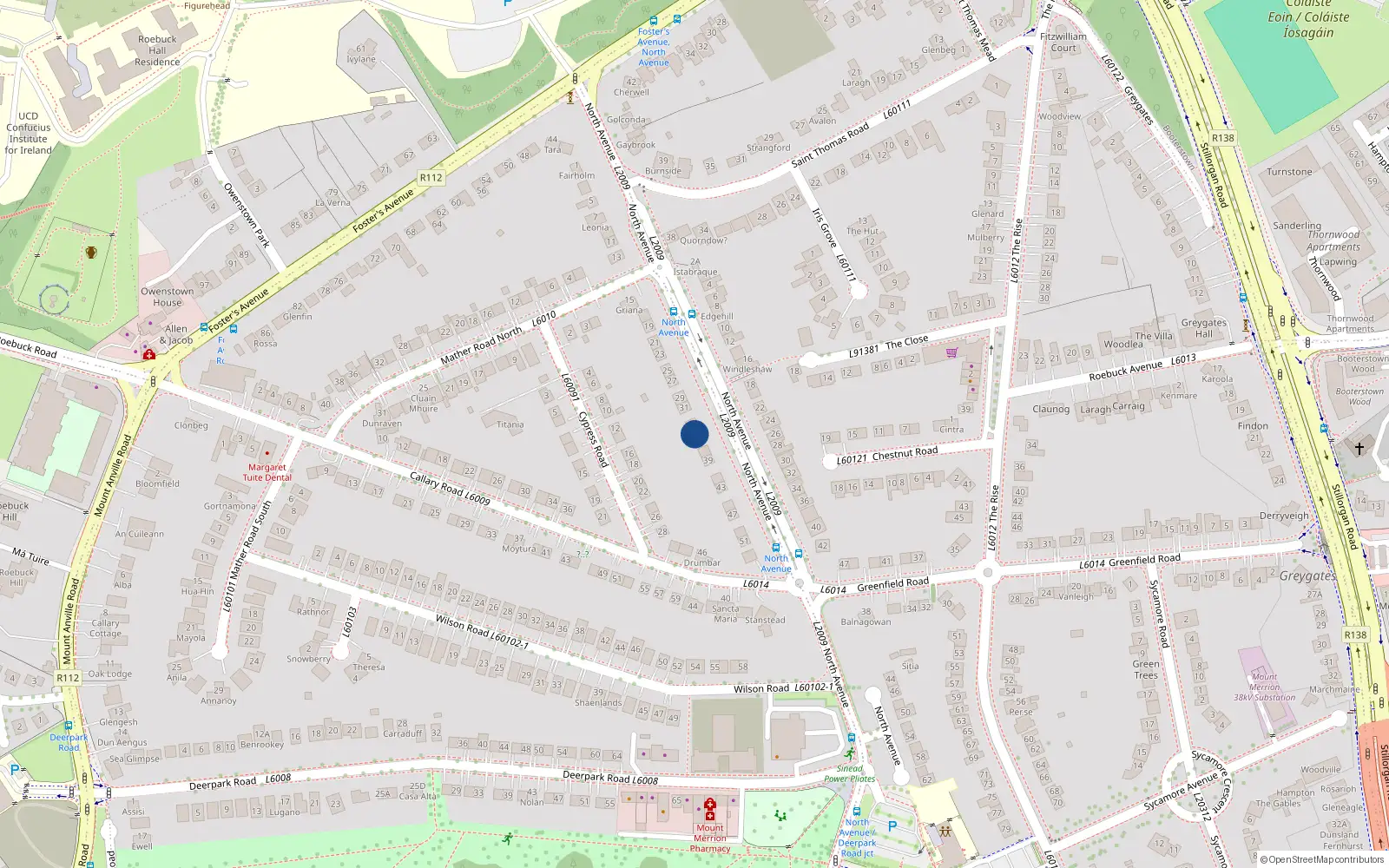 Overhead map showing the location of 35 North Avenue, Blackrock