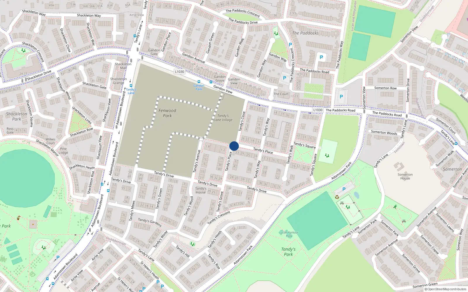 Overhead map showing the location of 35 Tandy's Place, Adamstown