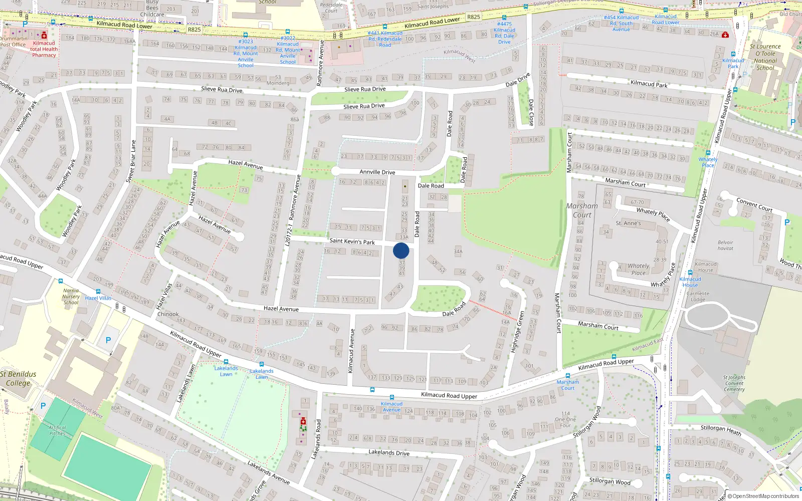 Overhead map showing the location of 35B Dale Road, Dublin
