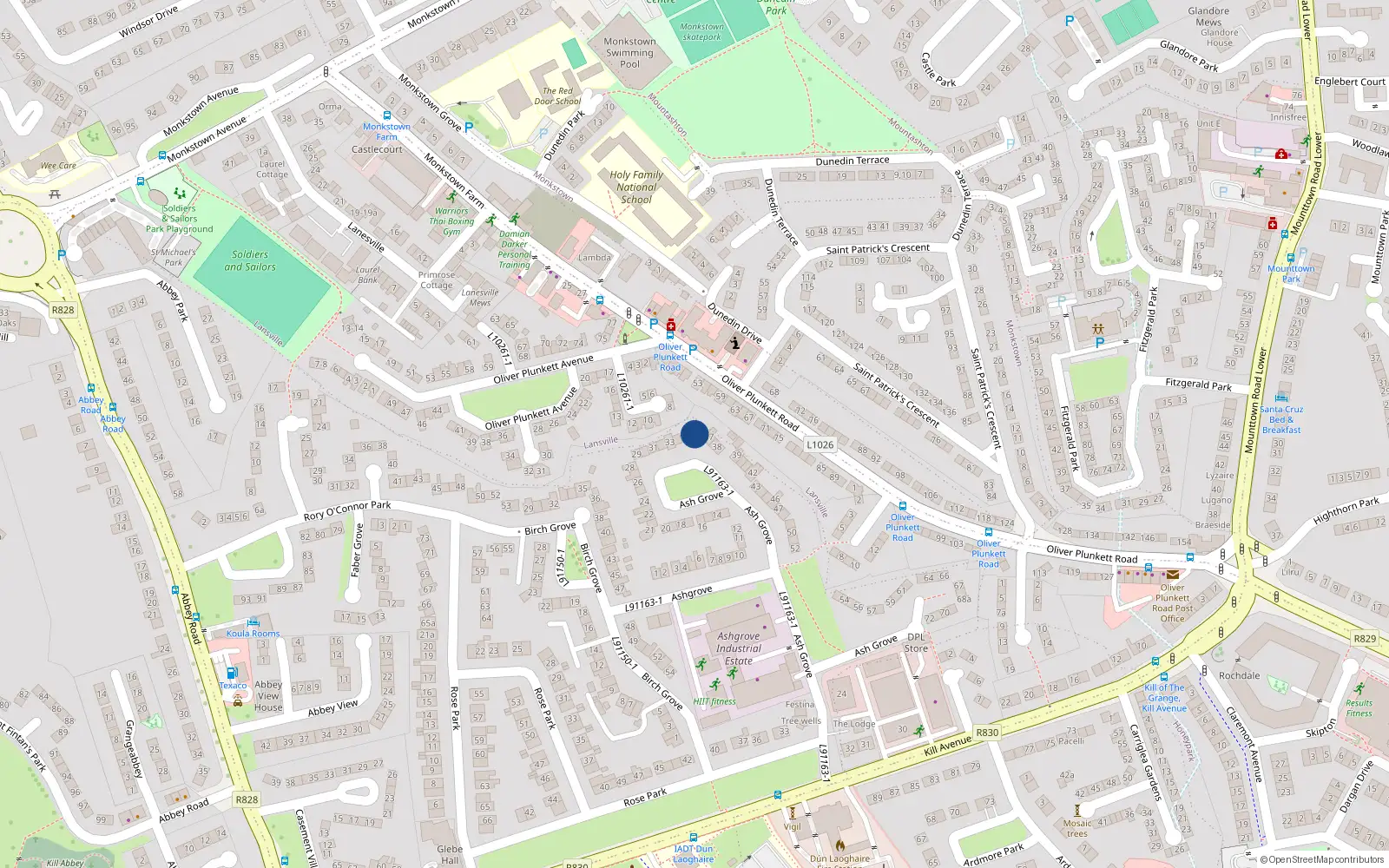 Overhead map showing the location of 36 Ash Grove, Kill of the Grange