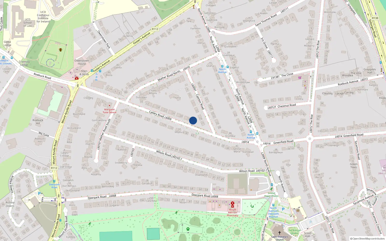 Overhead map showing the location of 36 Callary Road, Blackrock