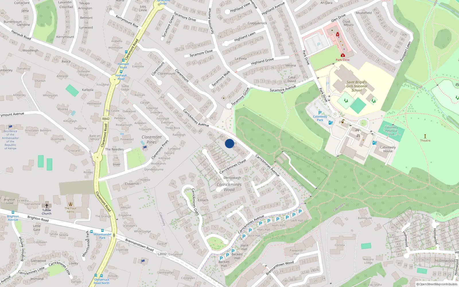 Overhead map showing the location of 36 Carrickmines Avenue, Dublin 18