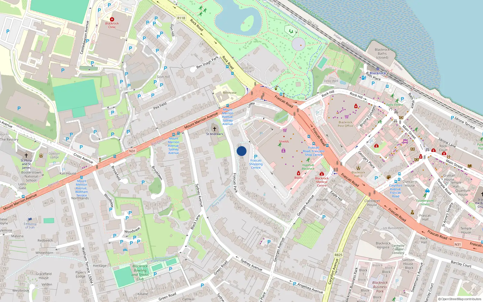 Overhead map showing the location of 36 Frascati Park, Blackrock