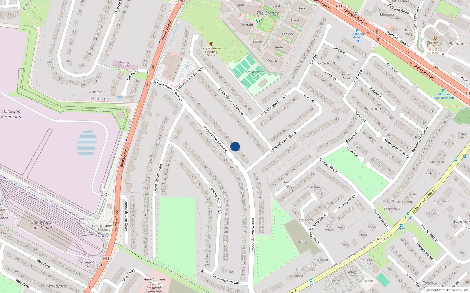 Overhead map showing the location of 36 Leopardstown Avenue, Dublin
