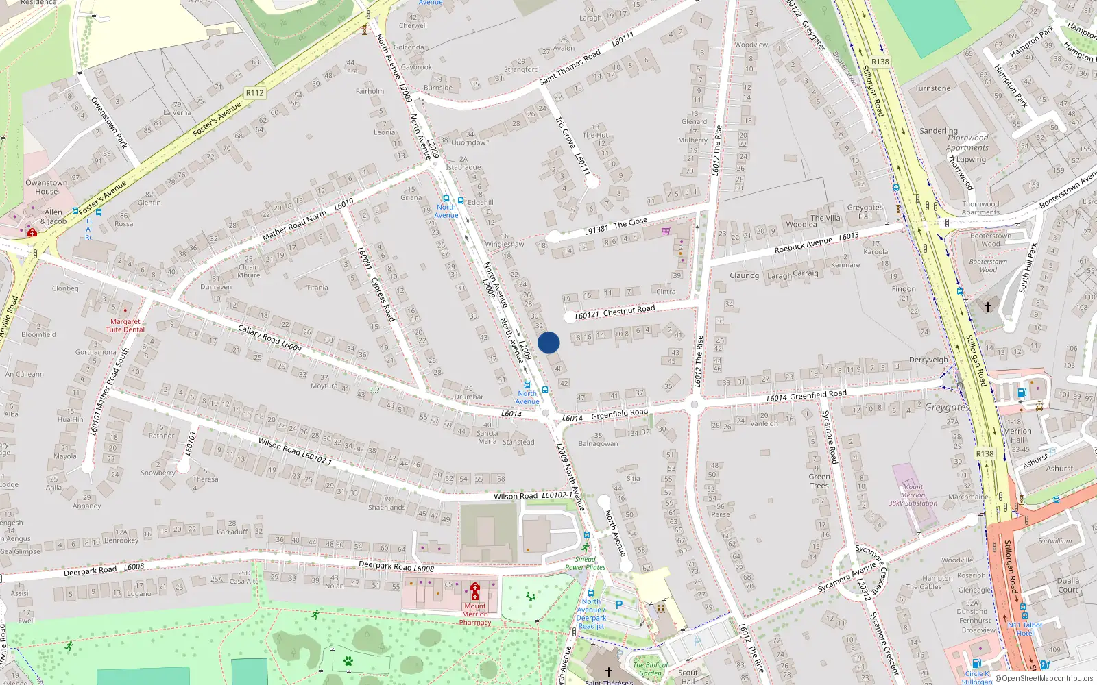 Overhead map showing the location of 36 North Avenue, Blackrock