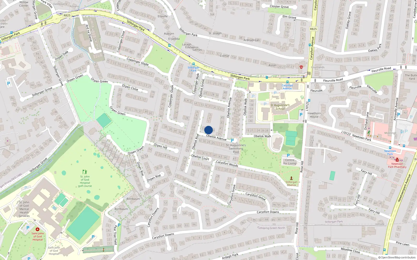 Overhead map showing the location of 36 Obelisk Avenue, St Augustines Park, Blackrock