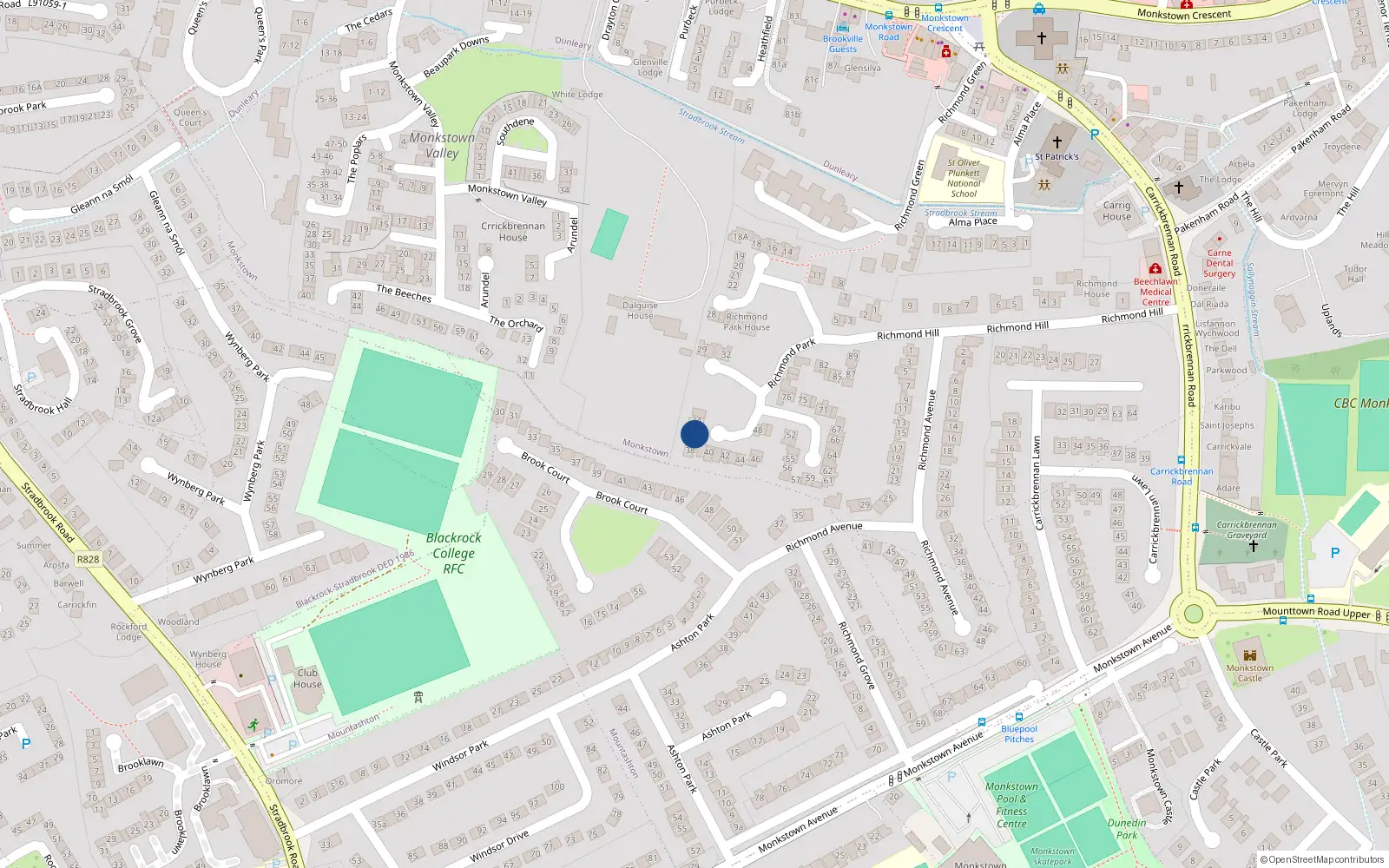 Overhead map showing the location of 36 Richmond Park, Monkstown