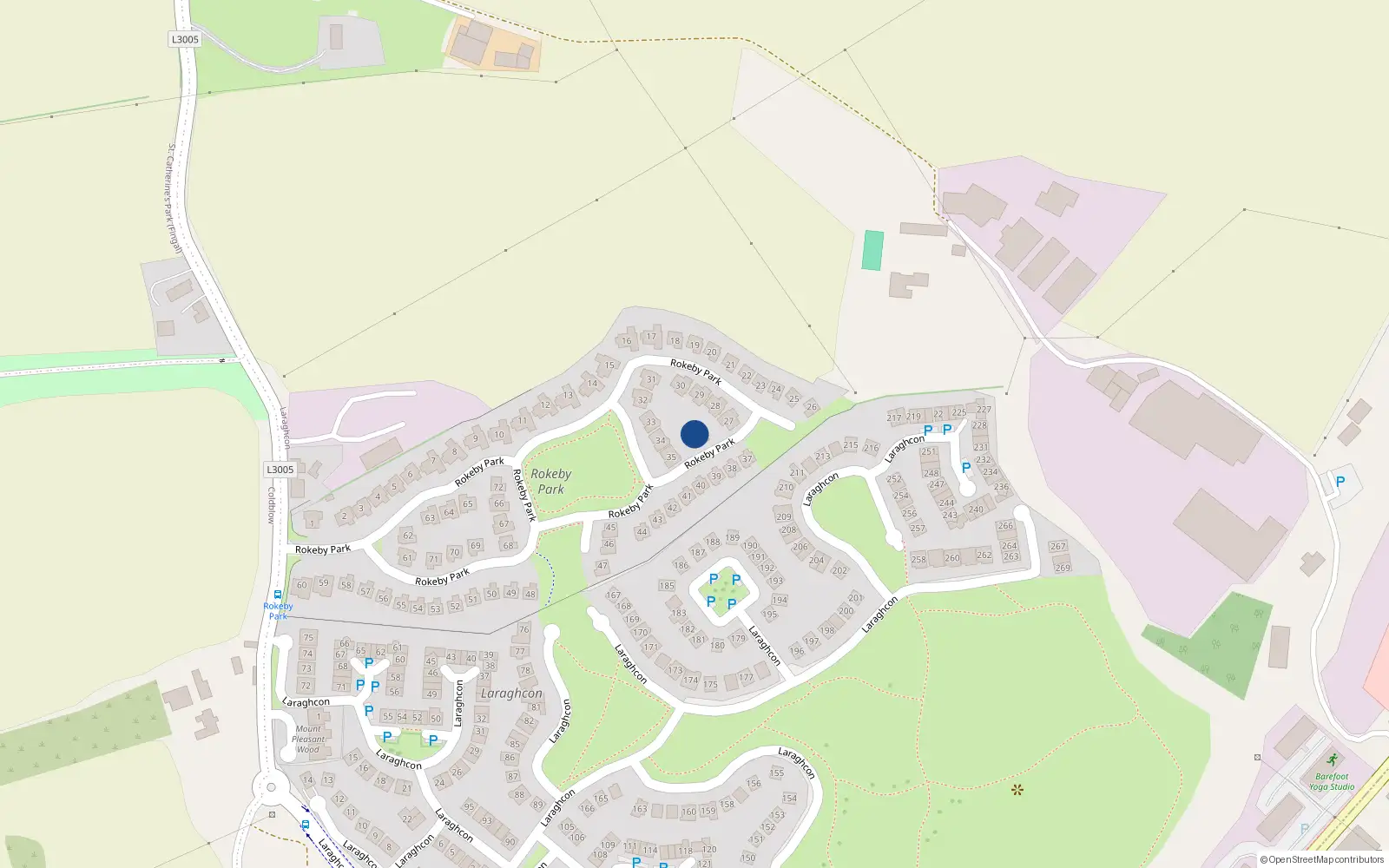 Overhead map showing the location of 36 Rokeby Park, Lucan
