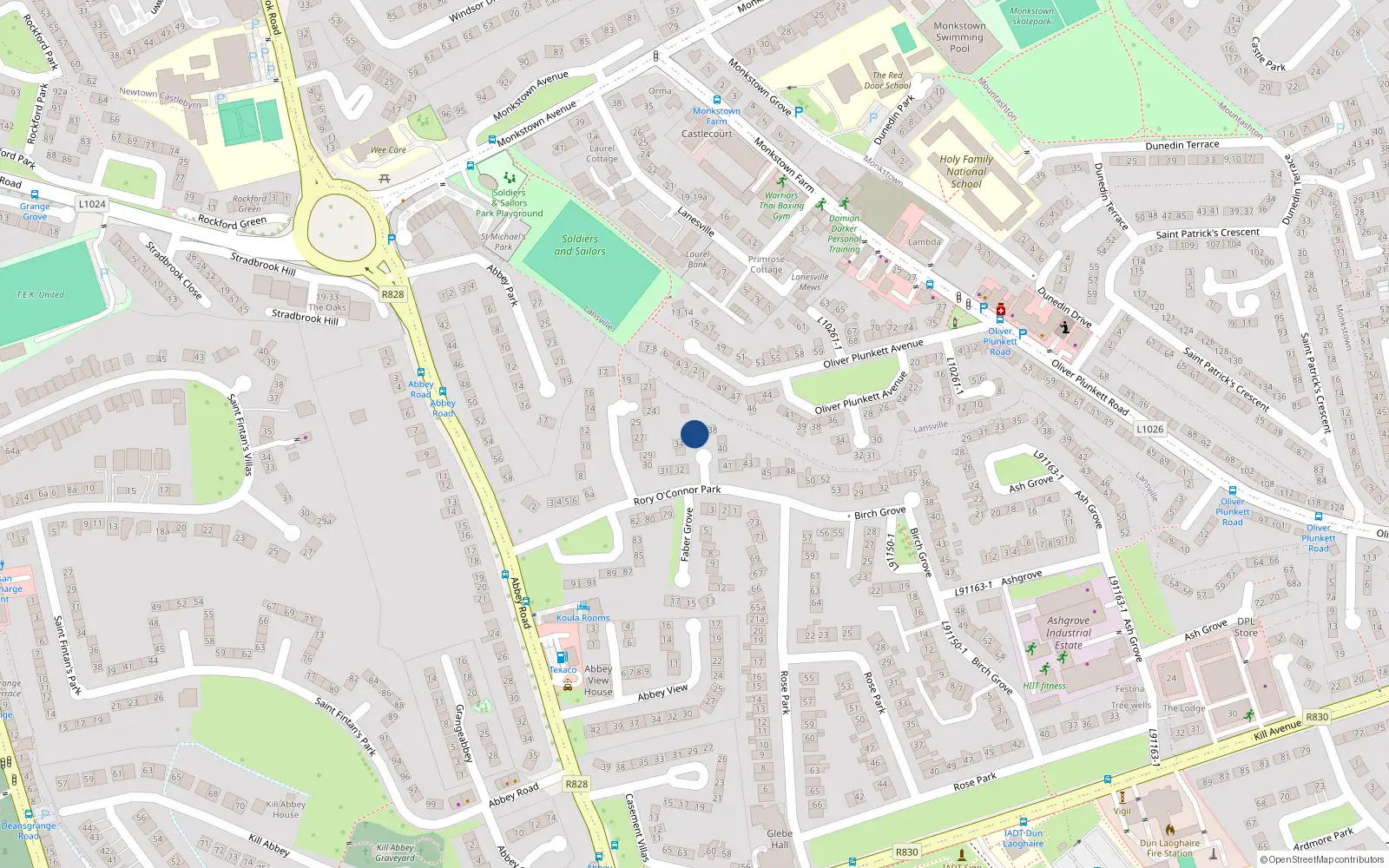 Overhead map showing the location of 36 Rory Oconnor Park, Dun Laoghaire, Dublin