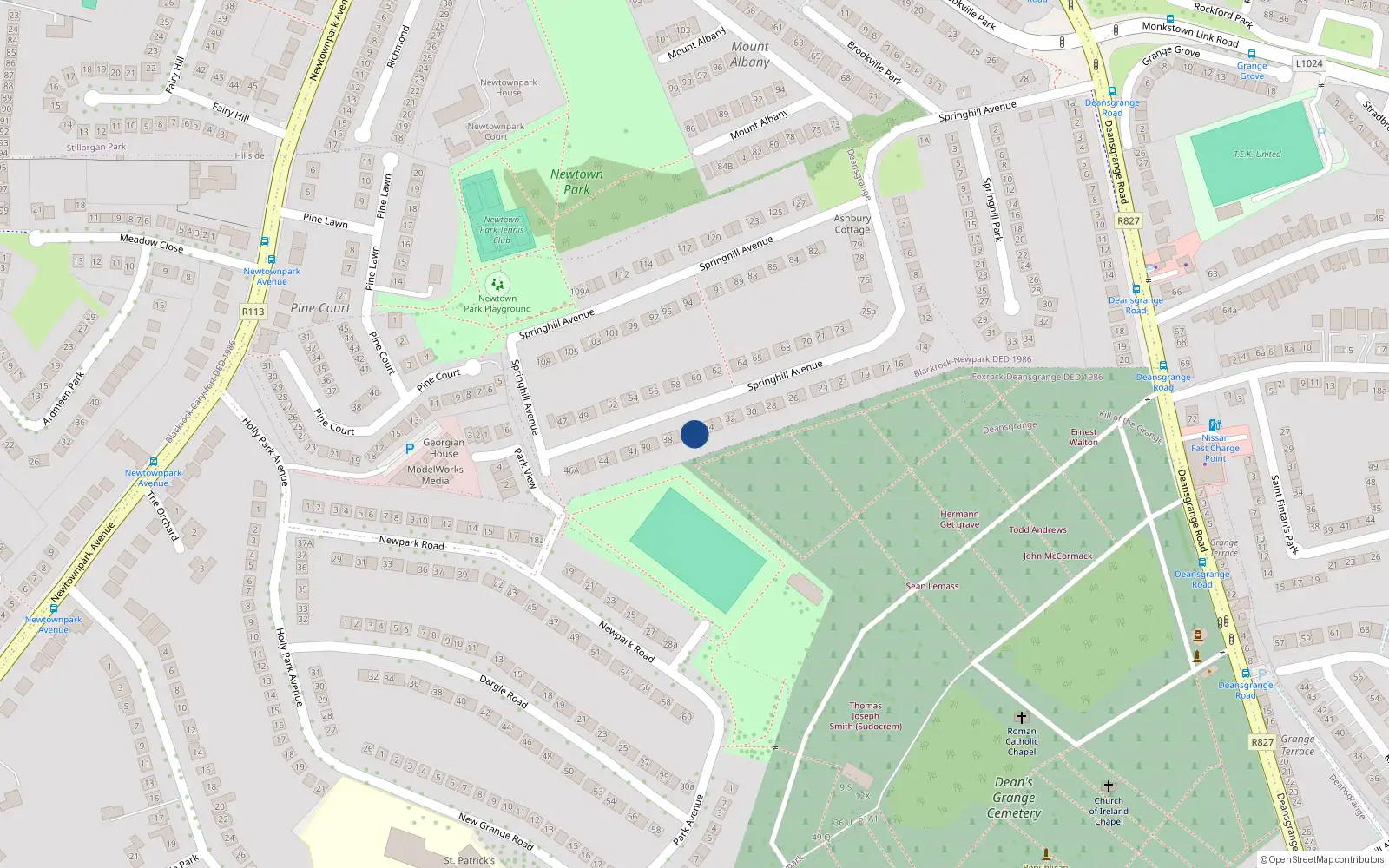 Overhead map showing the location of 36 Springhill Avenue, Blackrock