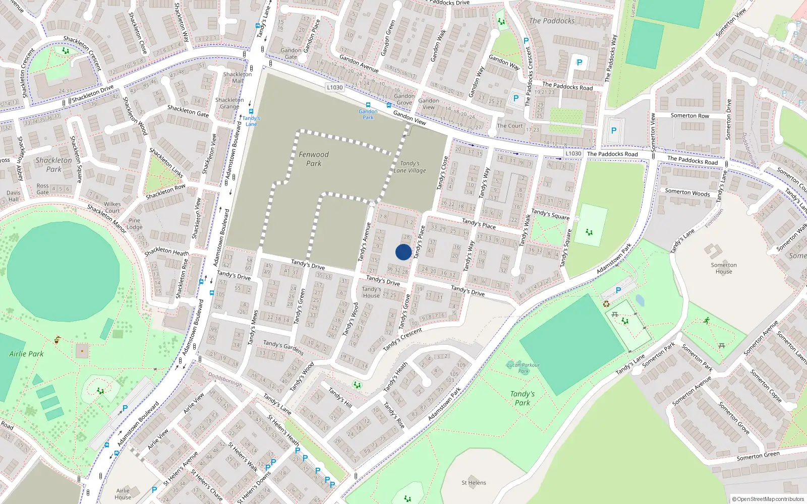 Overhead map showing the location of 36 Tandy's Place, Lucan
