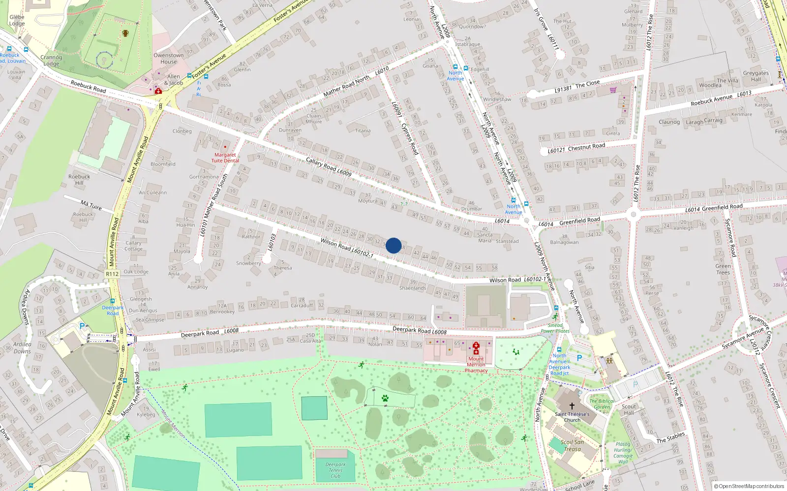 Overhead map showing the location of 36 Wilson Road, Blackrock