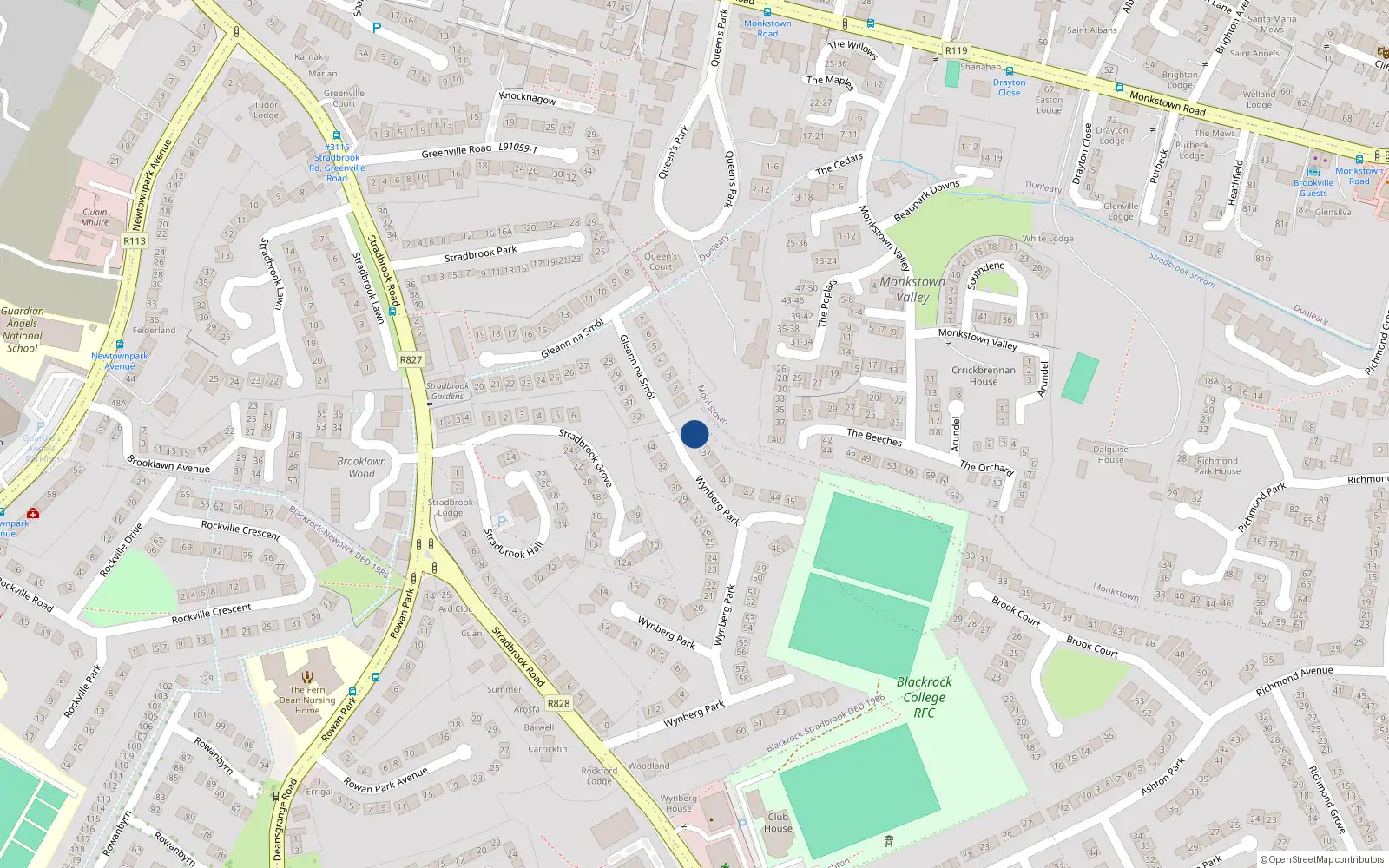 Overhead map showing the location of 36 Wynberg Park, Blackrock