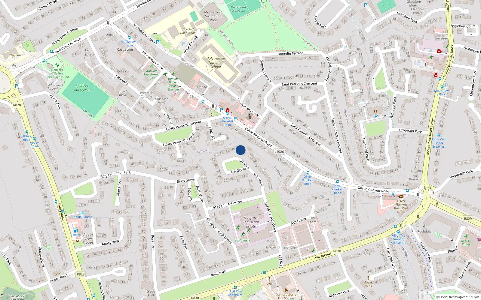 Overhead map showing the location of 37 Ash Grove, Kill Avenue, Dun Laoghaire