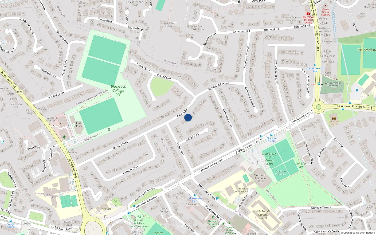 Overhead map showing the location of 37 Ashton Park, Monkstown