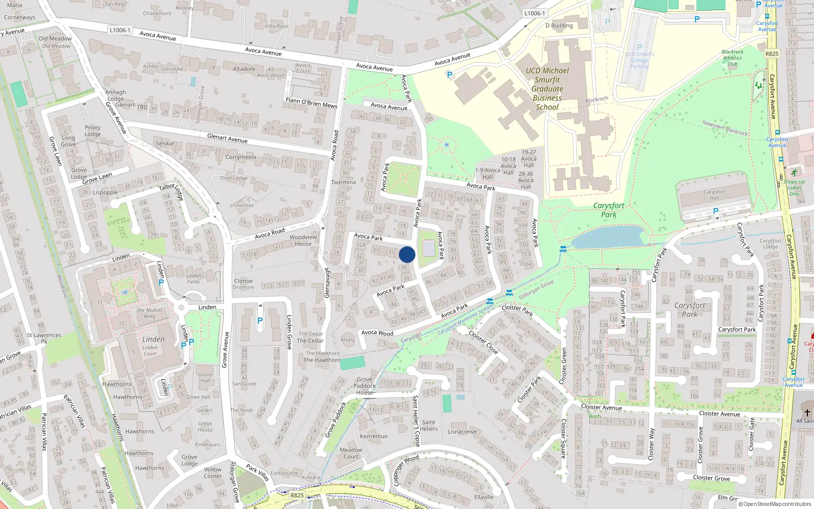 Overhead map showing the location of 37 Avoca Park, Blackrock