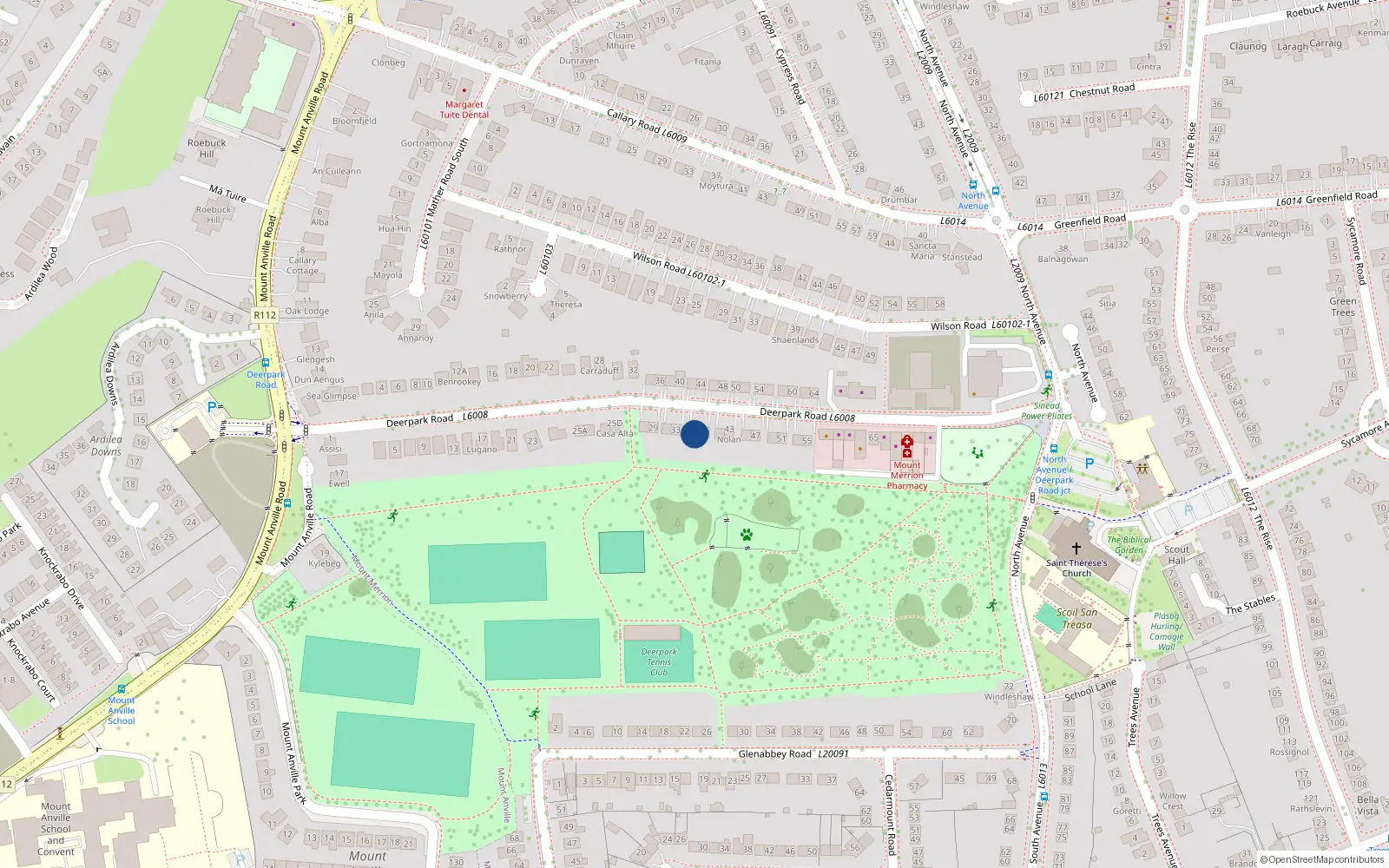 Overhead map showing the location of 37 Deerpark Road, Blackrock