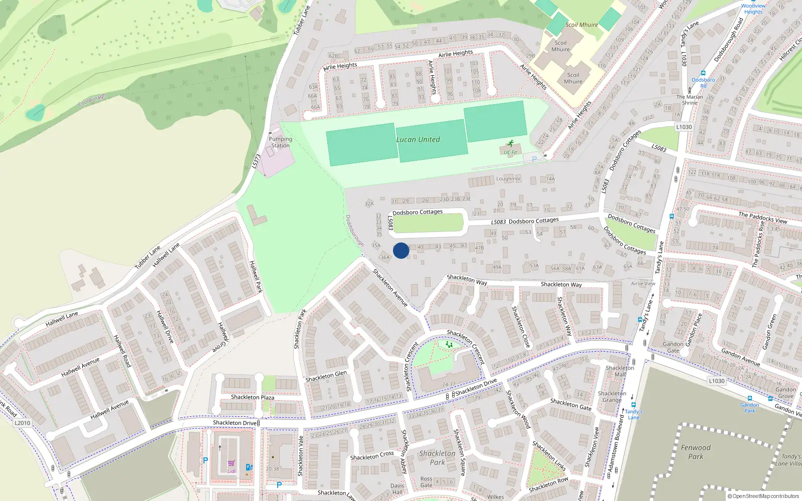 Overhead map showing the location of 37 Dodsborough Cottages, Lucan