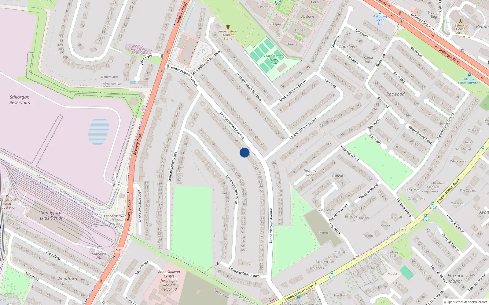 Overhead map showing the location of 37 Leopardstown Avenue, Blackrock, Dublin