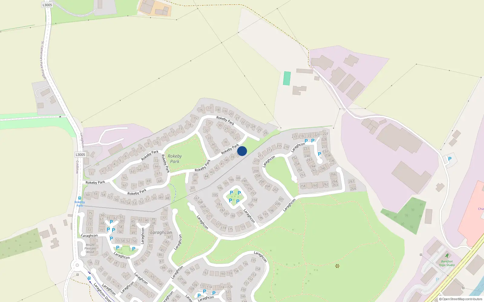 Overhead map showing the location of 37 Rokeby Park, Lucan