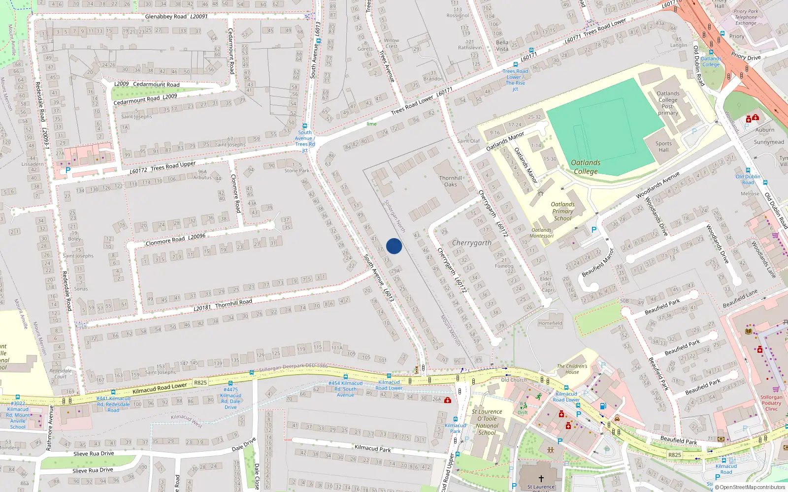 Overhead map showing the location of 37 South Avenue, Blackrock