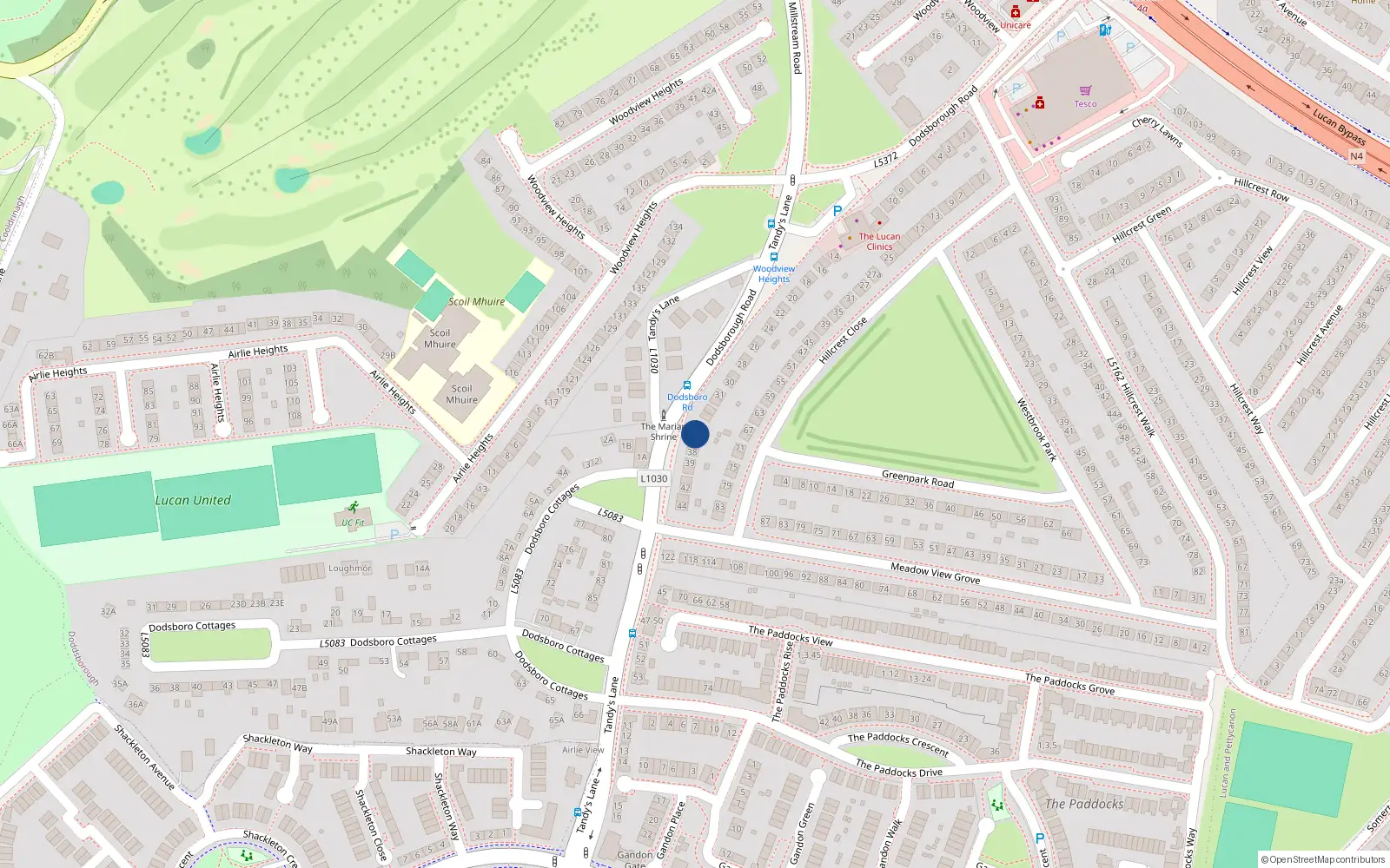 Overhead map showing the location of 37 Tandy's Lane, Lucan