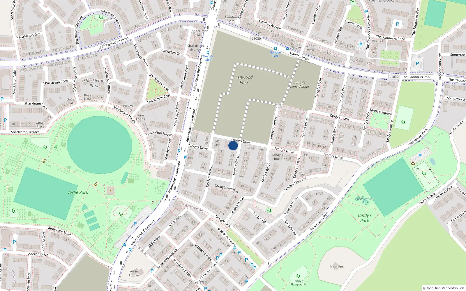 Overhead map showing the location of 37 Tandy's Drive, Lucan
