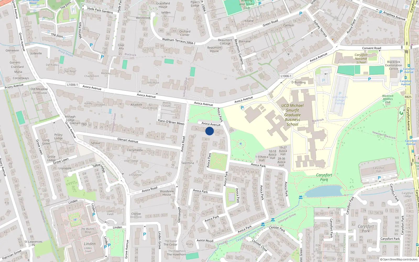 Overhead map showing the location of 38 Avoca Avenue, Dublin