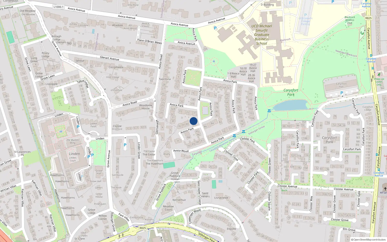 Overhead map showing the location of 38 Avoca Park, Blackrock, Dublin